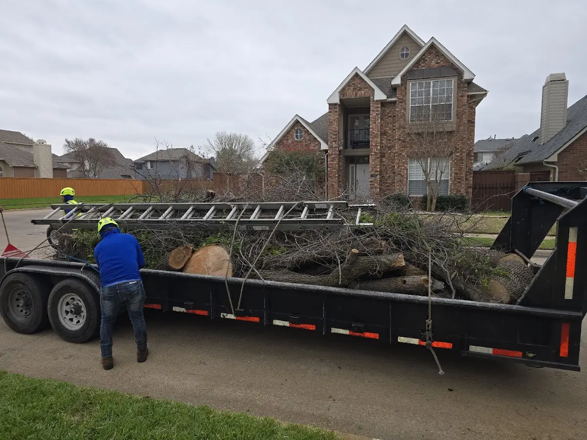 Expert Tree Removal with proper safety equipment in Eastanollee